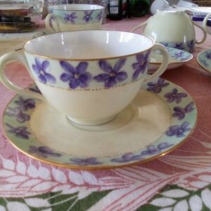 MZ Austria Violets Teacup and Saucer Set Hand Painted
